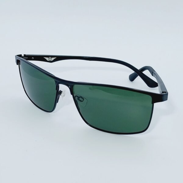 VECTOR GRAPHIT AVIATOR